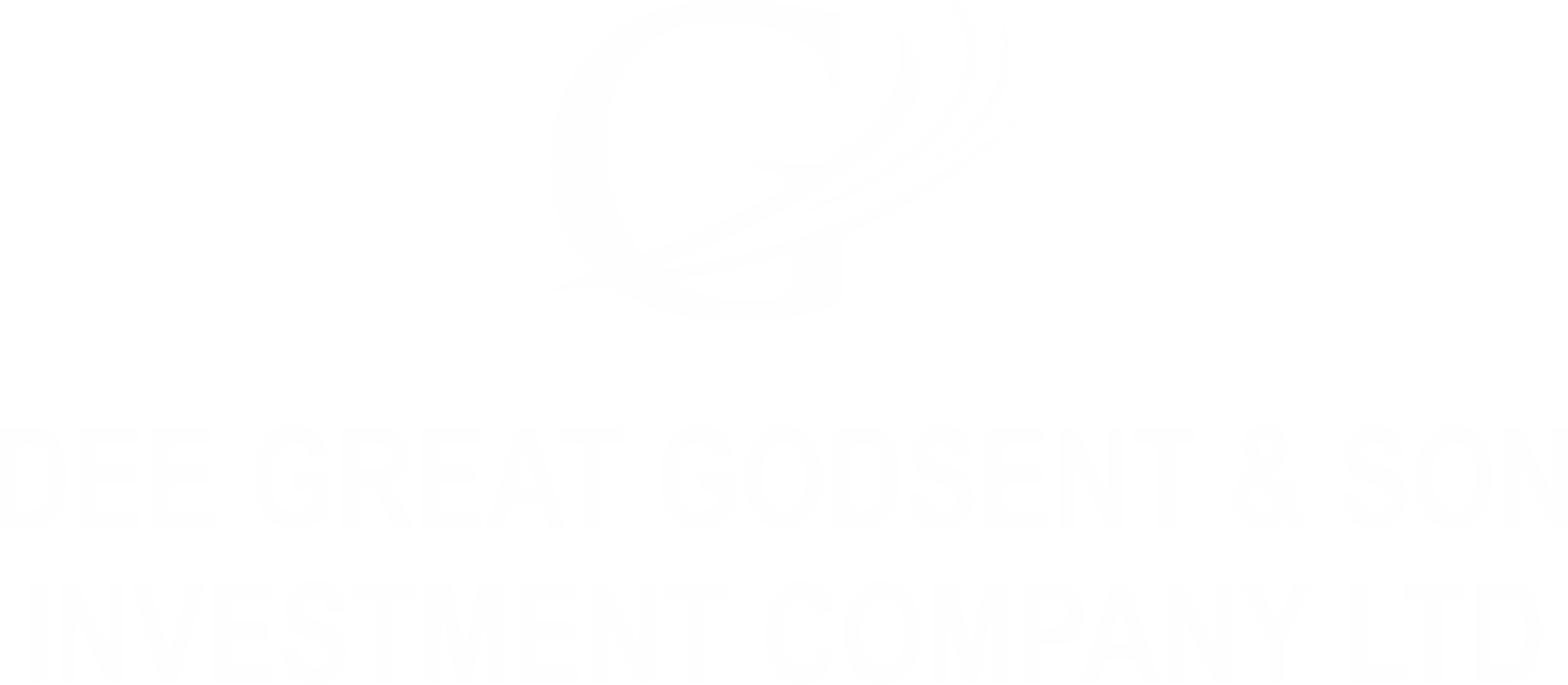 DGGS Investment Company Ltd