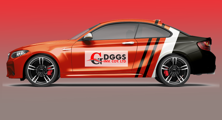 DGGS Investment Company Ltd